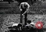 Image Henry Ford avec petits-fils United States USA, 1924, de la seconde 3 séquences d'archives historiques vidéo 65675025376