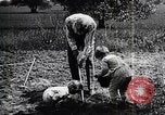 Image Henry Ford avec petits-fils United States USA, 1924, de la seconde 6 séquences d'archives historiques vidéo 65675025376