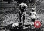 Image Henry Ford avec petits-fils United States USA, 1924, de la seconde 7 séquences d'archives historiques vidéo 65675025376