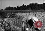 Image of Henry Ford United States USA, 1924, second 24 stock footage video 65675025379