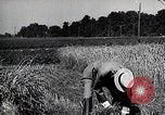 Image of Henry Ford United States USA, 1924, second 27 stock footage video 65675025379