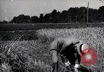 Image of Henry Ford United States USA, 1924, second 29 stock footage video 65675025379