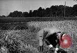 Image of Henry Ford United States USA, 1924, second 30 stock footage video 65675025379