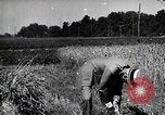 Image of Henry Ford United States USA, 1924, second 31 stock footage video 65675025379