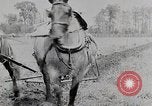 Immagine di American Farmer United States USA, 1924, secondo 28 filmato di repertorio 65675025386
