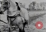 Immagine di American Farmer United States USA, 1924, secondo 29 filmato di repertorio 65675025386