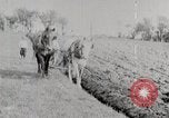 Immagine di American Farmer United States USA, 1924, secondo 32 filmato di repertorio 65675025386