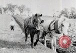 Immagine di American Farmer United States USA, 1924, secondo 36 filmato di repertorio 65675025386
