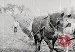 Immagine di American Farmer United States USA, 1924, secondo 38 filmato di repertorio 65675025386