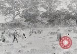 Image les agriculteurs américains United States USA, 1924, de la seconde 3 séquences d'archives historiques vidéo 65675025387