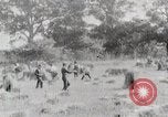 Image les agriculteurs américains United States USA, 1924, de la seconde 5 séquences d'archives historiques vidéo 65675025387