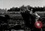 Image les agriculteurs américains United States USA, 1924, de la seconde 6 séquences d'archives historiques vidéo 65675025387