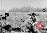 Image les agriculteurs américains United States USA, 1924, de la seconde 7 séquences d'archives historiques vidéo 65675025387