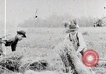 Image les agriculteurs américains United States USA, 1924, de la seconde 8 séquences d'archives historiques vidéo 65675025387