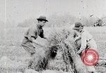Image les agriculteurs américains United States USA, 1924, de la seconde 9 séquences d'archives historiques vidéo 65675025387