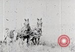 Image les agriculteurs américains United States USA, 1924, de la seconde 13 séquences d'archives historiques vidéo 65675025387