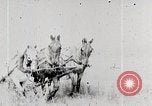 Image les agriculteurs américains United States USA, 1924, de la seconde 15 séquences d'archives historiques vidéo 65675025387