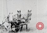 Image les agriculteurs américains United States USA, 1924, de la seconde 16 séquences d'archives historiques vidéo 65675025387