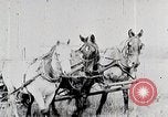 Image les agriculteurs américains United States USA, 1924, de la seconde 17 séquences d'archives historiques vidéo 65675025387