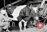 Image American Woman laits United States USA, 1915, de la seconde 4 séquences d'archives historiques vidéo 65675025389