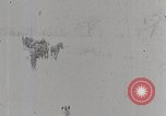 Immagine di I ragazzi americani United States USA, 1915, secondo 3 filmato di repertorio 65675025395