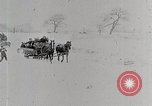 Immagine di I ragazzi americani United States USA, 1915, secondo 5 filmato di repertorio 65675025395