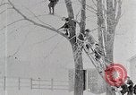 Immagine di I ragazzi americani United States USA, 1915, secondo 24 filmato di repertorio 65675025395