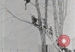 Immagine di I ragazzi americani United States USA, 1915, secondo 25 filmato di repertorio 65675025395