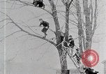 Immagine di I ragazzi americani United States USA, 1915, secondo 26 filmato di repertorio 65675025395