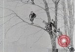 Immagine di I ragazzi americani United States USA, 1915, secondo 27 filmato di repertorio 65675025395