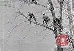 Immagine di I ragazzi americani United States USA, 1915, secondo 28 filmato di repertorio 65675025395