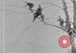 Immagine di I ragazzi americani United States USA, 1915, secondo 31 filmato di repertorio 65675025395
