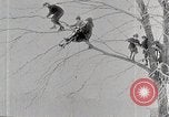 Immagine di I ragazzi americani United States USA, 1915, secondo 32 filmato di repertorio 65675025395