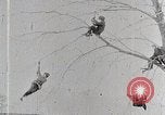 Immagine di I ragazzi americani United States USA, 1915, secondo 43 filmato di repertorio 65675025395