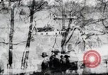 Immagine di Central Park New York United States USA, 1919, secondo 37 filmato di repertorio 65675025405