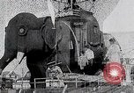 Immagine di Gigante elefante in legno con pelle di stagno martellato Margate New Jersey USA, 1919, secondo 10 filmato di repertorio 65675025408