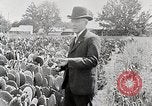 Image of Luther Burbank with cactus United States USA, 1919, second 3 stock footage video 65675025419