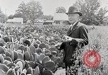 Image of Luther Burbank with cactus United States USA, 1919, second 5 stock footage video 65675025419