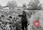 Image of Luther Burbank with cactus United States USA, 1919, second 8 stock footage video 65675025419