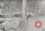 Image Transport arbre coupé logs United States USA, 1919, de la seconde 4 séquences d'archives historiques vidéo 65675025423