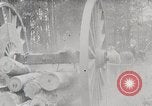 Image Transport arbre coupé logs United States USA, 1919, de la seconde 5 séquences d'archives historiques vidéo 65675025423