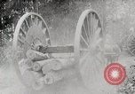 Image Transport arbre coupé logs United States USA, 1919, de la seconde 8 séquences d'archives historiques vidéo 65675025423