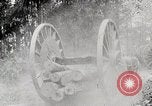 Image Transport arbre coupé logs United States USA, 1919, de la seconde 9 séquences d'archives historiques vidéo 65675025423