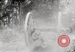 Image Transport arbre coupé logs United States USA, 1919, de la seconde 10 séquences d'archives historiques vidéo 65675025423