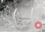Image Transport arbre coupé logs United States USA, 1919, de la seconde 11 séquences d'archives historiques vidéo 65675025423