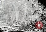 Image Transport arbre coupé logs United States USA, 1919, de la seconde 25 séquences d'archives historiques vidéo 65675025423