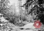 Image Transport arbre coupé logs United States USA, 1919, de la seconde 26 séquences d'archives historiques vidéo 65675025423