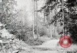 Image Transport arbre coupé logs United States USA, 1919, de la seconde 27 séquences d'archives historiques vidéo 65675025423