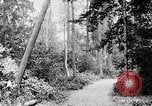 Image Transport arbre coupé logs United States USA, 1919, de la seconde 30 séquences d'archives historiques vidéo 65675025423