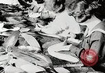 Image American women workers United States USA, 1919, de la seconde 4 séquences d'archives historiques vidéo 65675025424